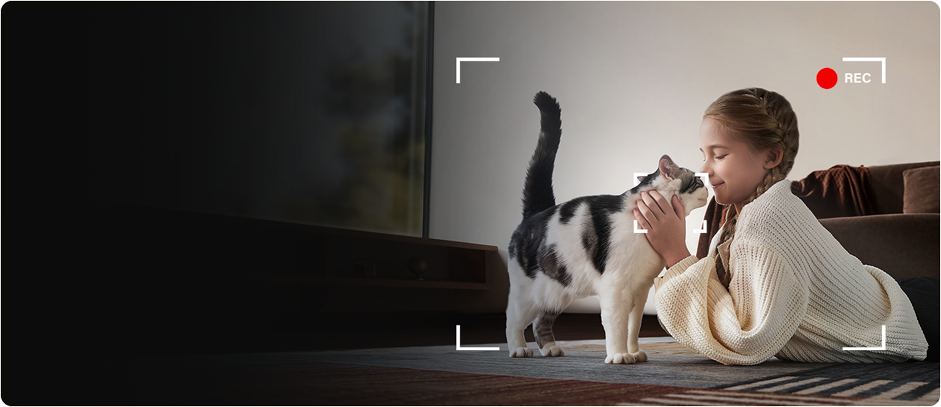 具身智能大脑：视觉感知、复杂任务执行