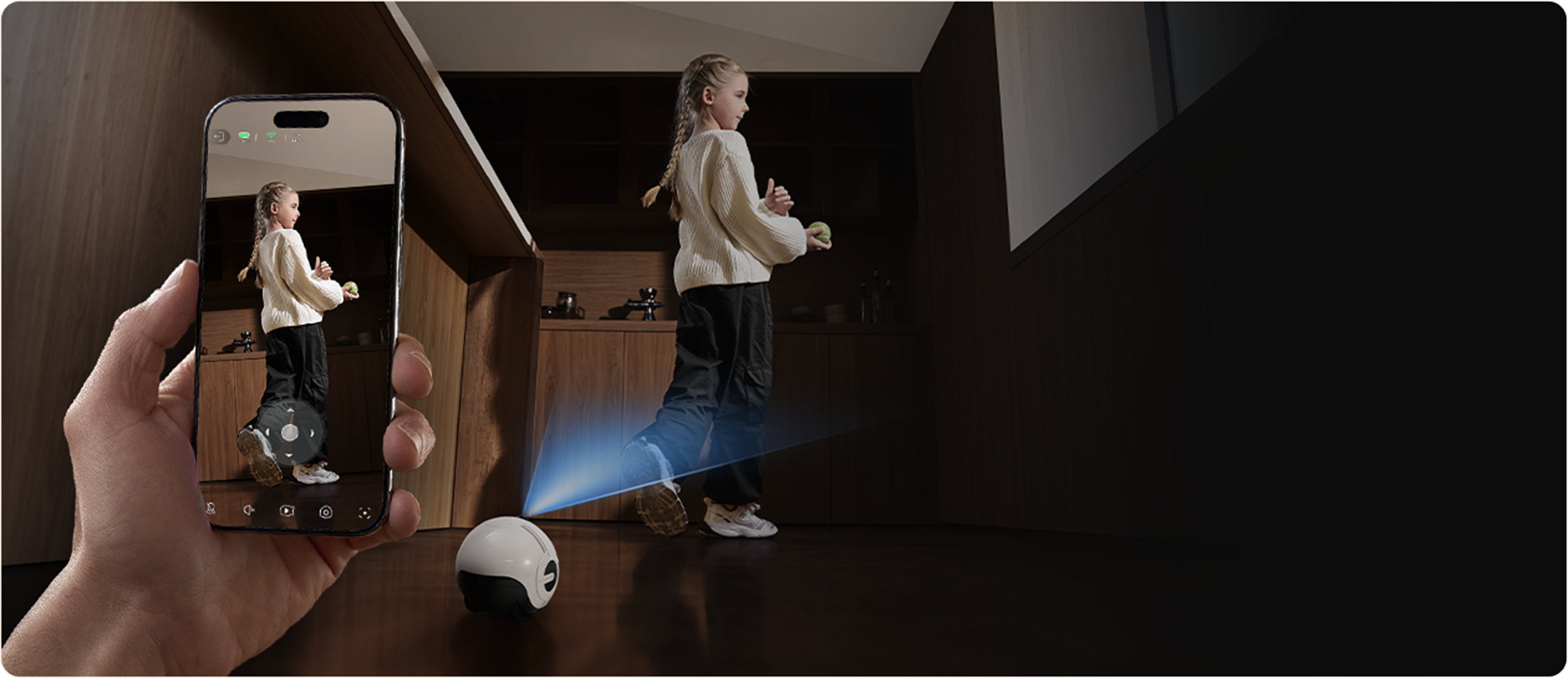 具身智能大脑：视觉感知、复杂任务执行