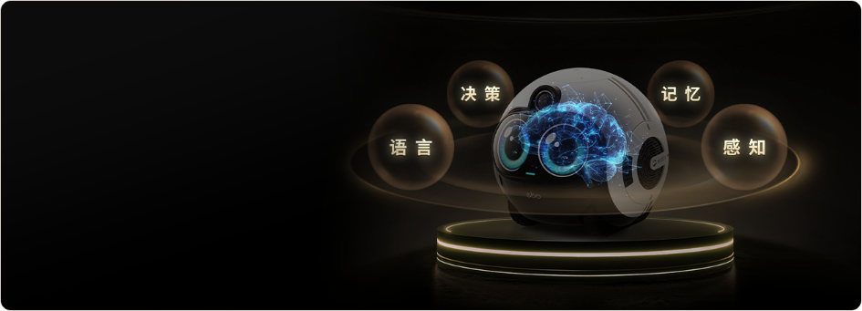 具身智能大脑：视觉感知、复杂任务执行