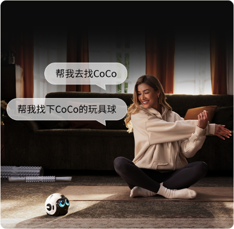 看宠分身，远程养宠解放双手